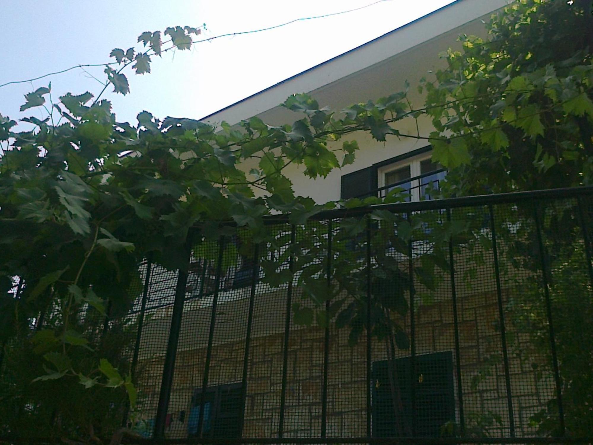 Rooms Sentic Dubrovnik Exterior foto
